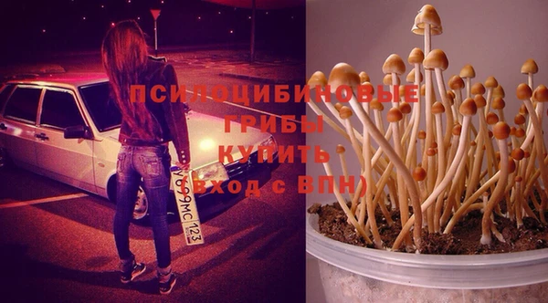 PSILOCYBIN Нефтекумск