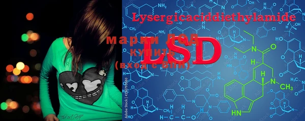 PSILOCYBIN Нефтекумск