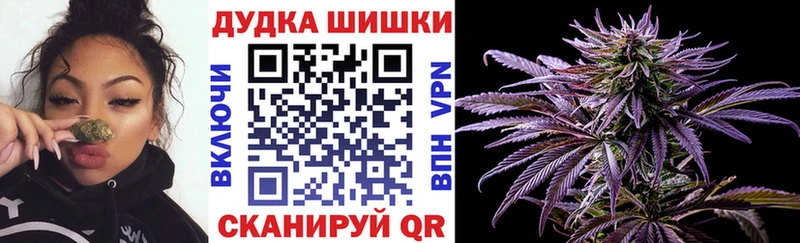 Бошки марихуана конопля Сосновка